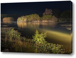   Постер Заросшие густой растительностью островки на ночном озере освещённом светом фар 