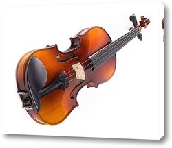   Постер Скрипка на белом фоне