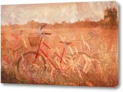    Велосипед в поле