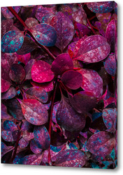   Постер Ветка с лиловыми листочками
