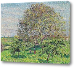    Большой Орешник Весной,1894