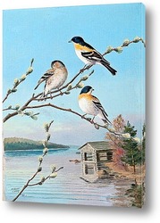   Постер Птицы весной