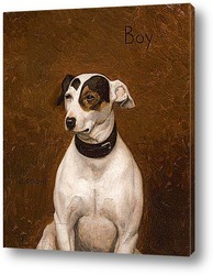   Картина Портрет собаки