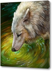   Постер Белый волк