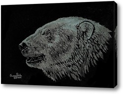   Постер Белый медведь