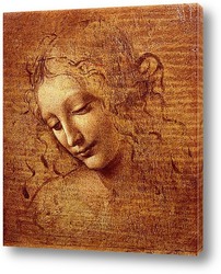   Постер Leonardo da Vinci-07