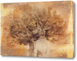   Постер Goat in the image