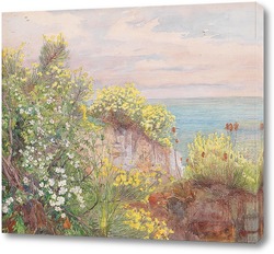   Постер Цветы на берегу моря