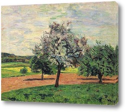   Картина Цветение Яблонь, Иль-де-Франс, 1887