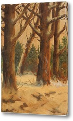   Постер лес зимой
