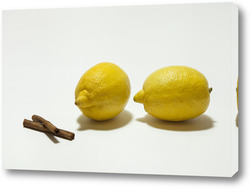   Постер Лимоны и гвоздика