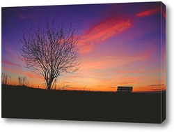   Постер Дерево и лавка на закате