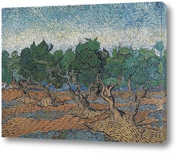   Картина Оливковый сад