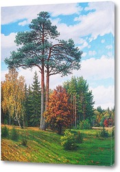   Картина Осенний пейзаж с сосной