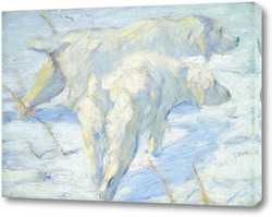   Постер Сибирские Собаки в снегу