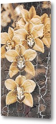   Постер Монохромные орхидеи