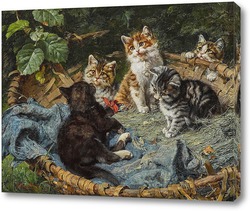   Постер Пять котят в корзине