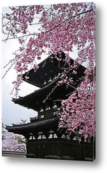   Постер Japan-13010901