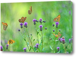   Постер Танцы бабочек