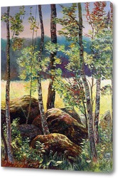   Картина  Камни в лесу
