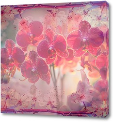   Постер Цветущие орхидеи
