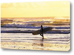   Постер Surfing002