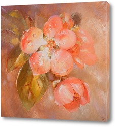   Постер цветок яблони