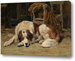  Две рабочие лошадки и отдыхающая собака
