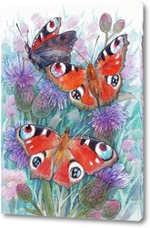   Постер Бабочки дневного павлиньего глаза
