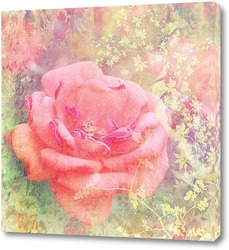   Постер Чайная роза