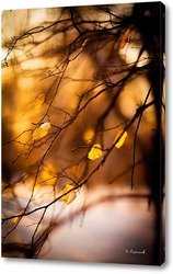   Постер Жёлтые листья на фоне чёрных стволов деревьев 2.