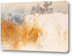   Постер Зимний пейзаж с зайцем