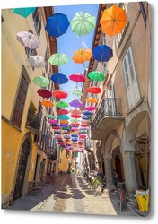  Постер Разноцветные зонтики Пизонье