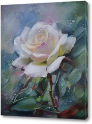   Постер Белая роза