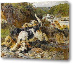   Картина Охотничьи собаки