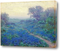   Постер Голубые холмы Техаса