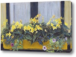   Картина Цветы в оконной коробке: желтые бегонии, незабудки и петунии