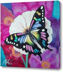   Постер Бабочка на цветке.