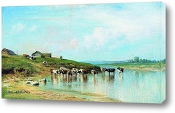   Постер Полдень.Коровы в воде