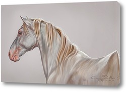   Постер Белый конь