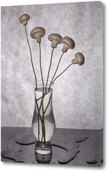   Постер Букет грибов