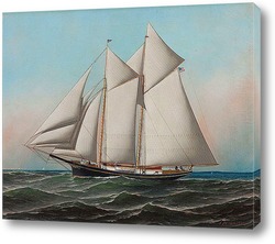   Картина Американская яхта "Летающий флаг" яхт-клуба Нью-Йорка