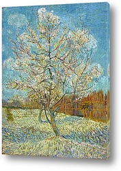   Постер Персиковое дерево в цвету