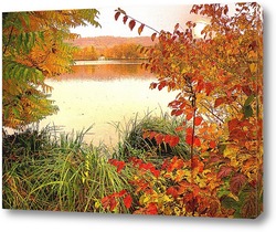   Постер Осенняя вода