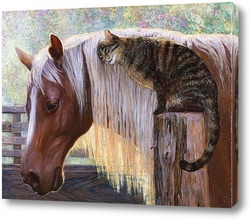   Постер Кот и конь
