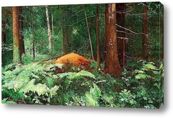   Постер Лесной пейзаж