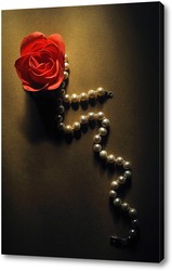   Постер мыльная роза