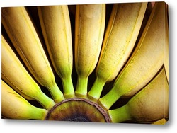   Постер Бананы
