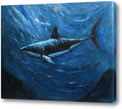   Картина Акула. Подводный мир