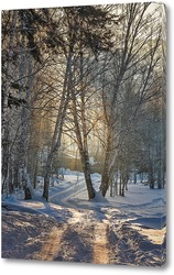   Постер Зимний лес яркм,солнечным утром.
